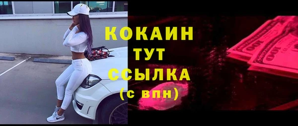 прущие грибы Осинники