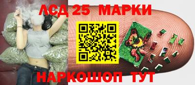 шишки Берёзовский