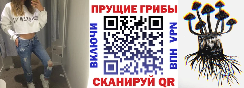 магазин    Бугуруслан  Галлюциногенные грибы GOLDEN TEACHER 
