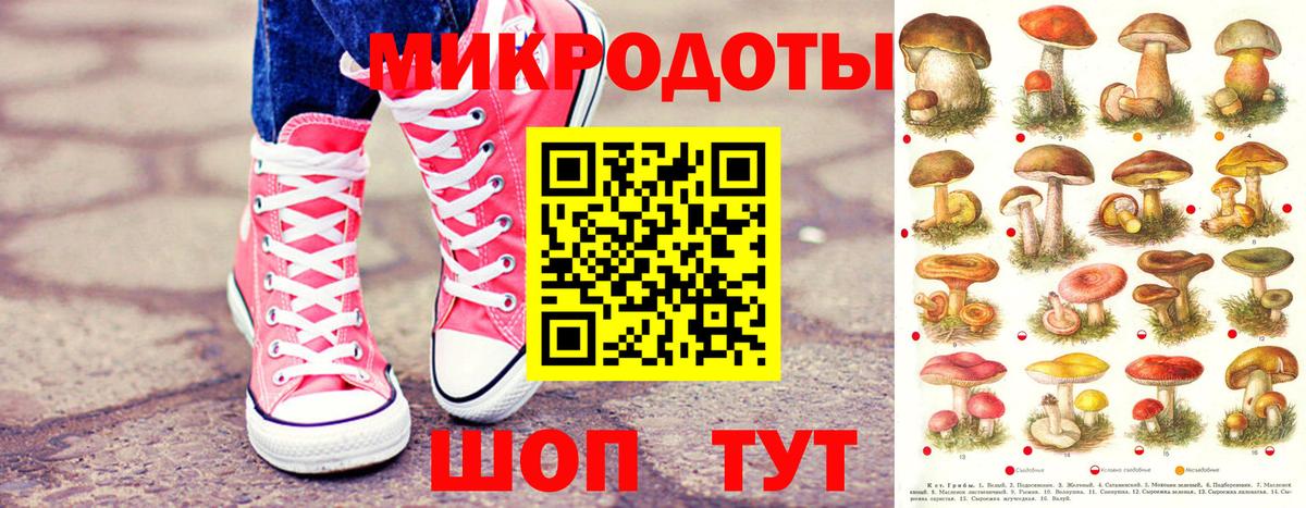 Псилоцибиновые грибы GOLDEN TEACHER Бугуруслан