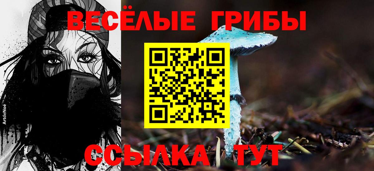 Псилоцибиновые грибы MAGIC MUSHROOMS Бугуруслан