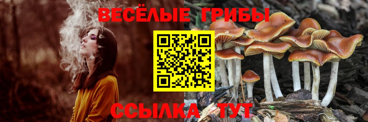 Бугуруслан  Галлюциногенные грибы прущие грибы  Вход с VPN  Галлюциногенные грибы мицелий 